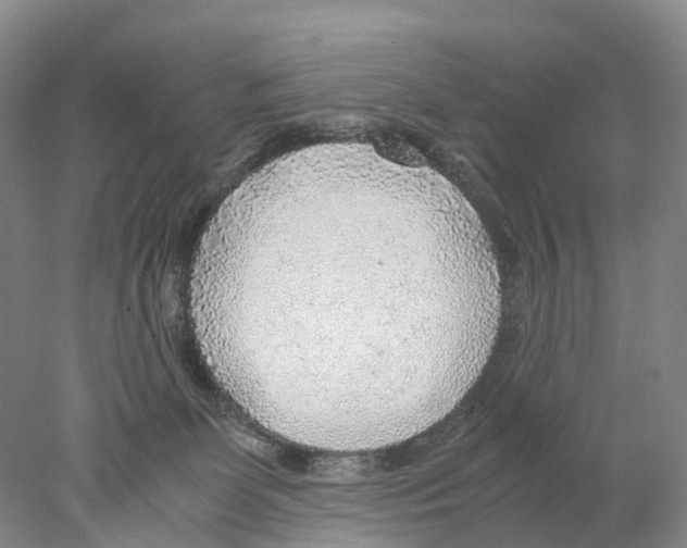 X0000078000131200611251447
