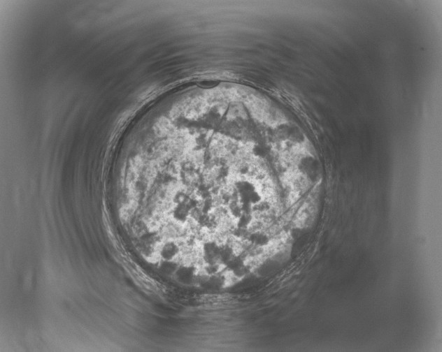 X0000078000145200611251446