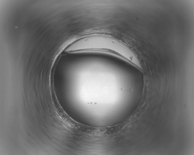 X0000078000148200611251446