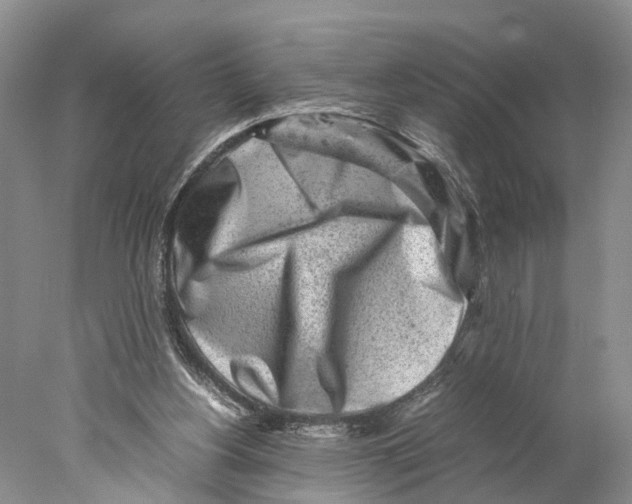 X0000078000156200611251446