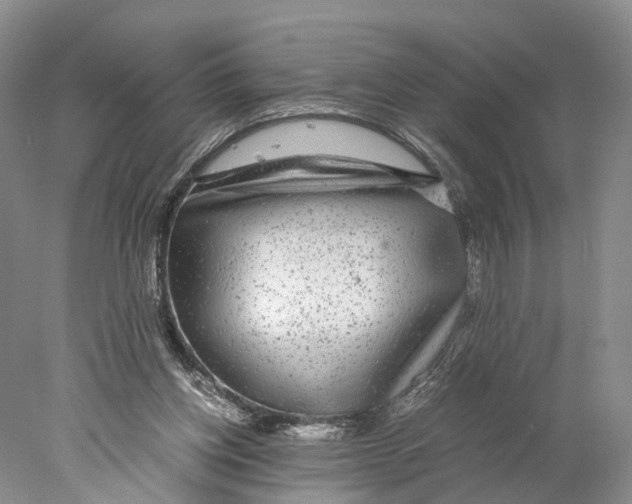 X0000078000158200611251446