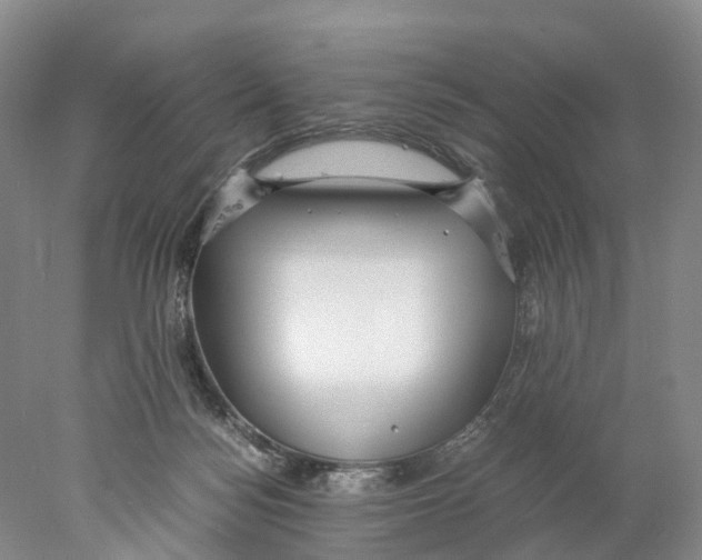 X0000078000172200611251446
