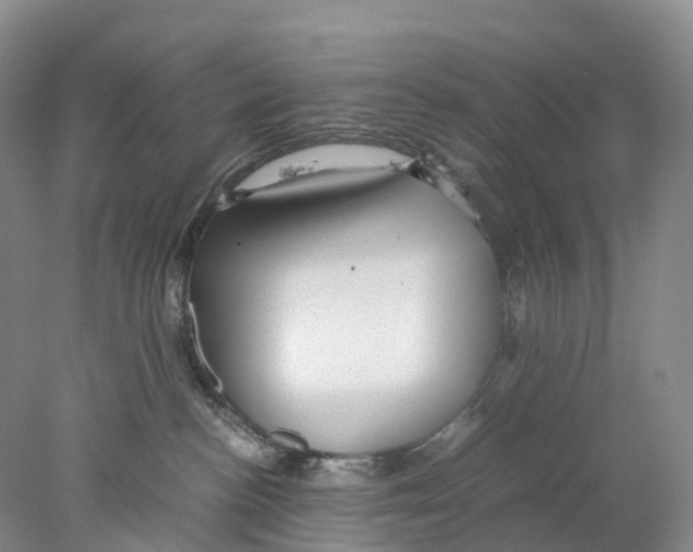X0000078000188200611251447