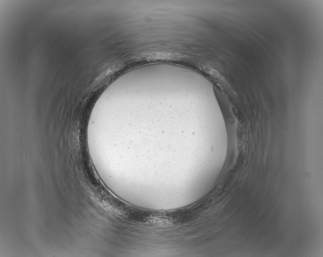 X0000078000207200611251446