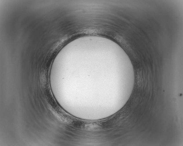 X0000078000208200611251446