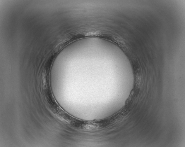 X0000078000215200611251446