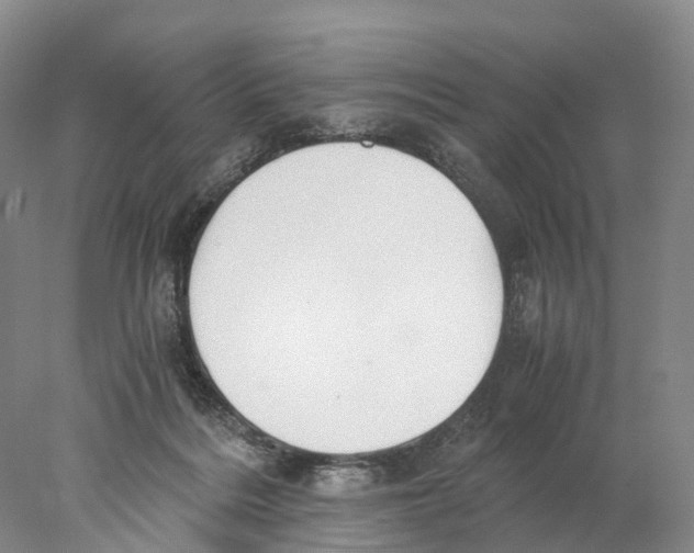 X0000078000220200611251445