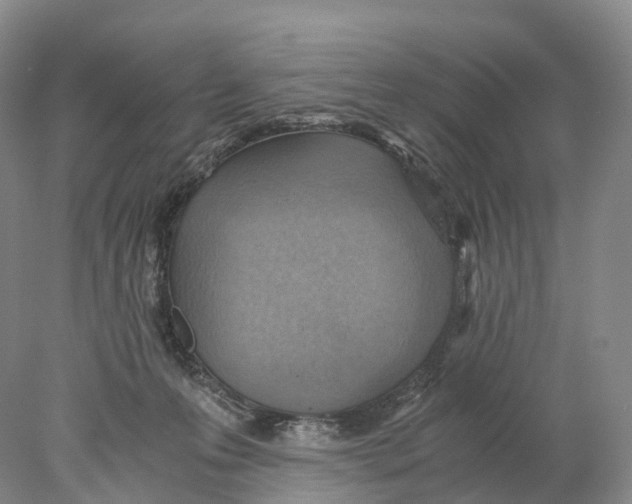 X0000078000223200611251445