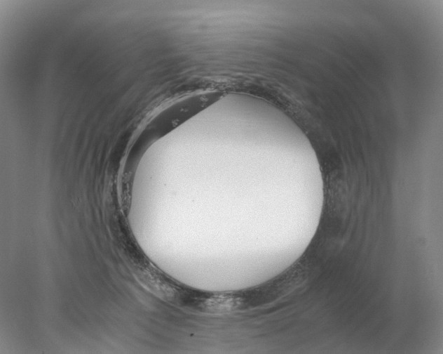 X0000078000225200611251445