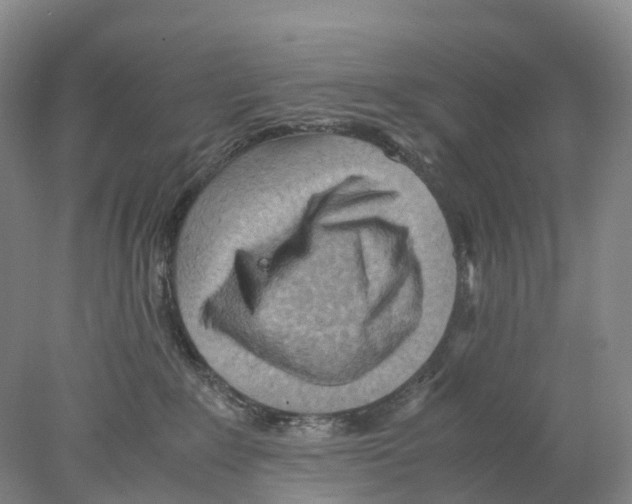 X0000078000235200611251445
