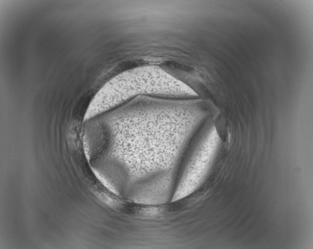 X0000078000237200611251445