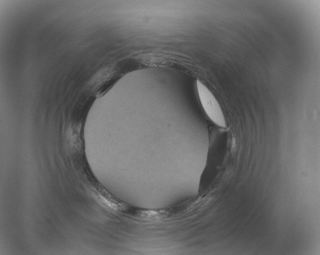 X0000078000239200611251445