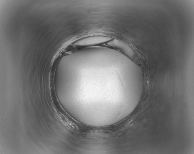 X0000078000244200611251444