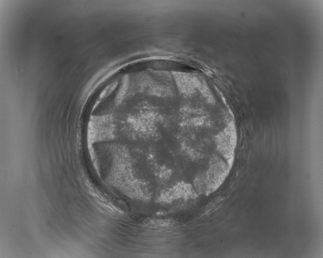 X0000078000247200611251444
