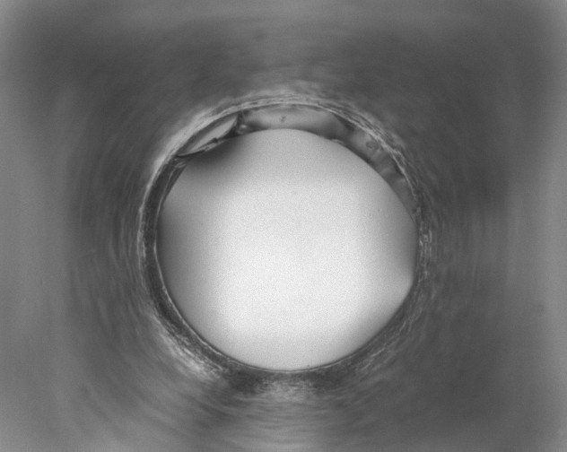 X0000078000248200611251444