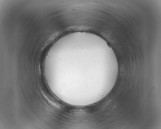 X0000078000254200611251445