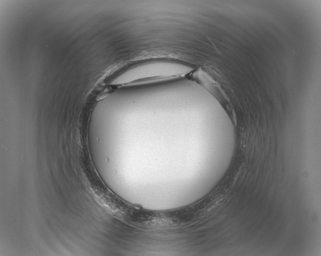 X0000078000256200611251445