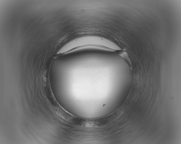 X0000078000264200611251445