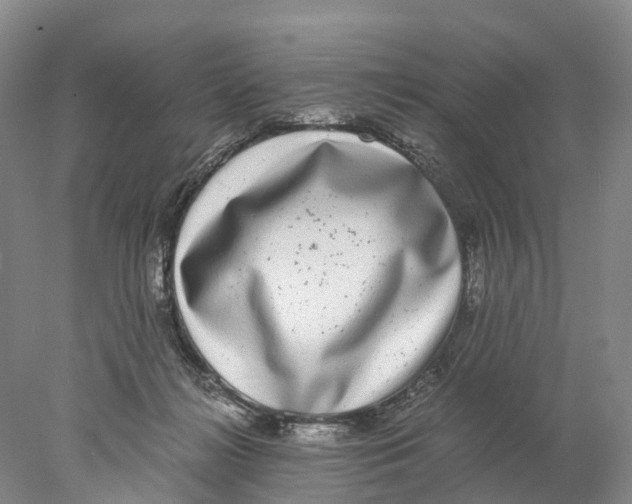 X0000078000268200611251445