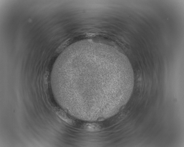 X0000078000275200611251445