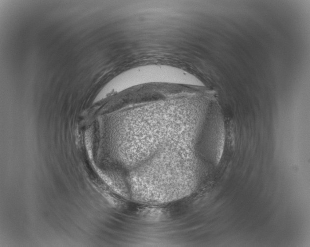 X0000078000276200611251445
