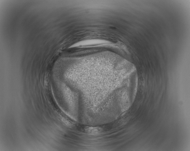 X0000078000277200611251445