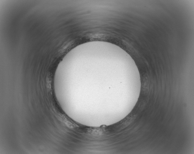 X0000078000282200611251445