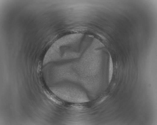X0000078000284200611251445