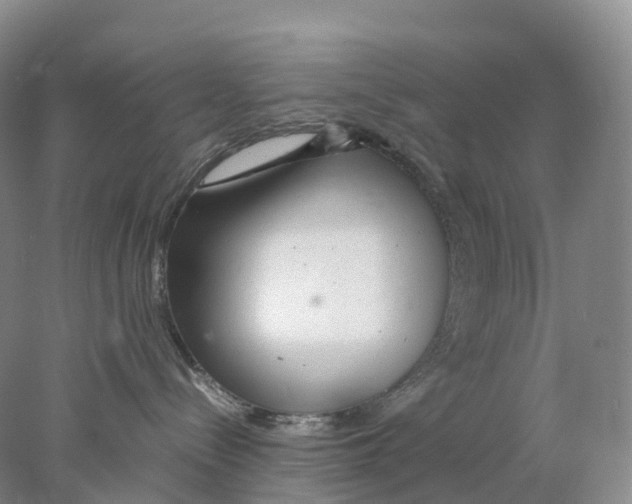X0000078000288200611251445