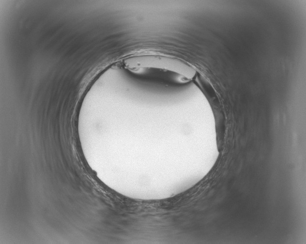 X0000078000289200611251444