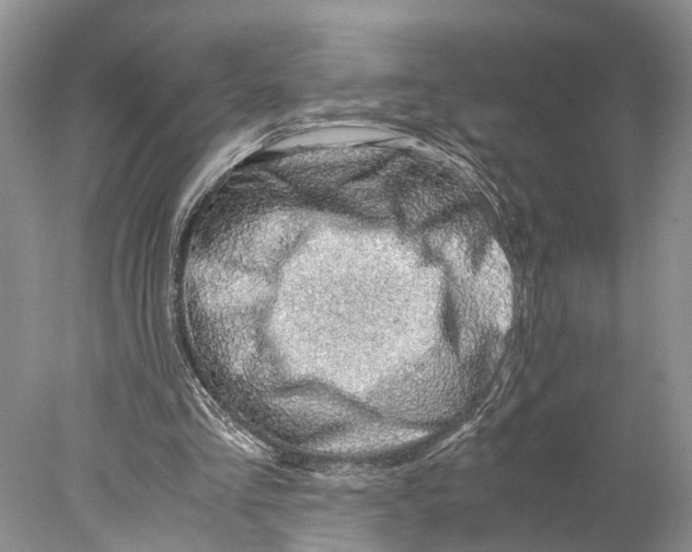 X0000078000293200611251444