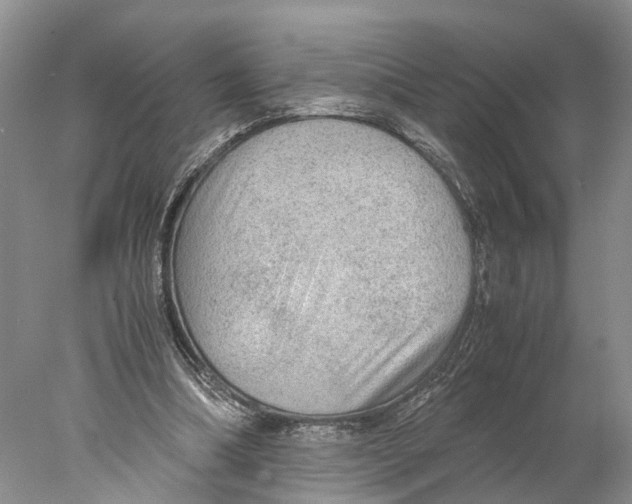 X0000078000298200611251444