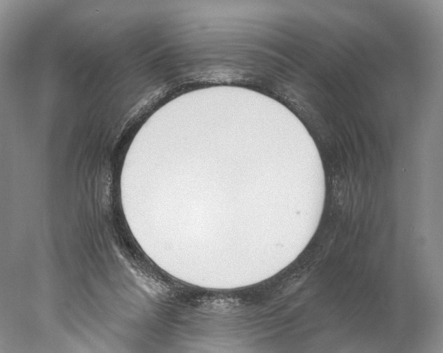 X0000078000304200611251444