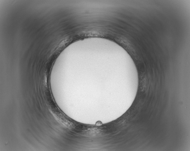 X0000078000310200611251444