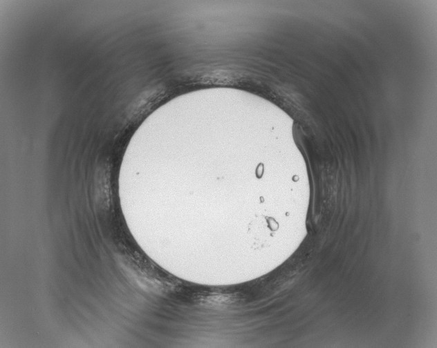 X0000078000312200611251444