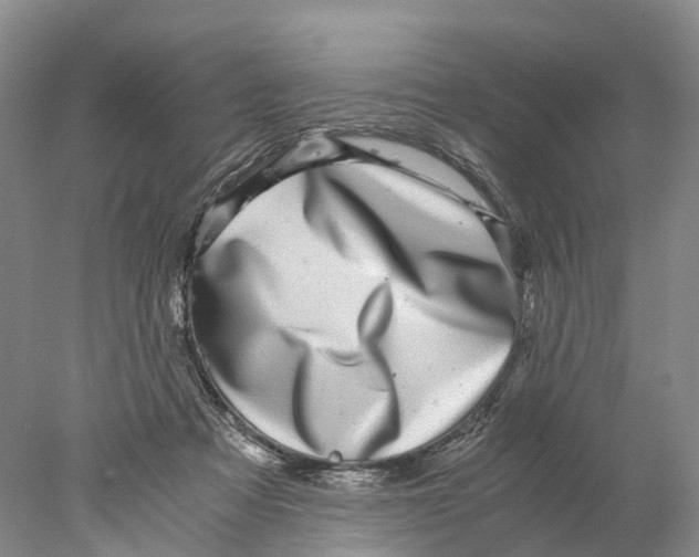 X0000078000313200611251444