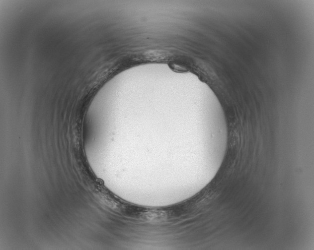X0000078000317200611251444