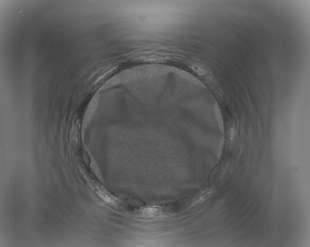 X0000078000325200611251444