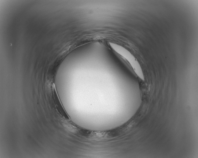 X0000078000329200611251444