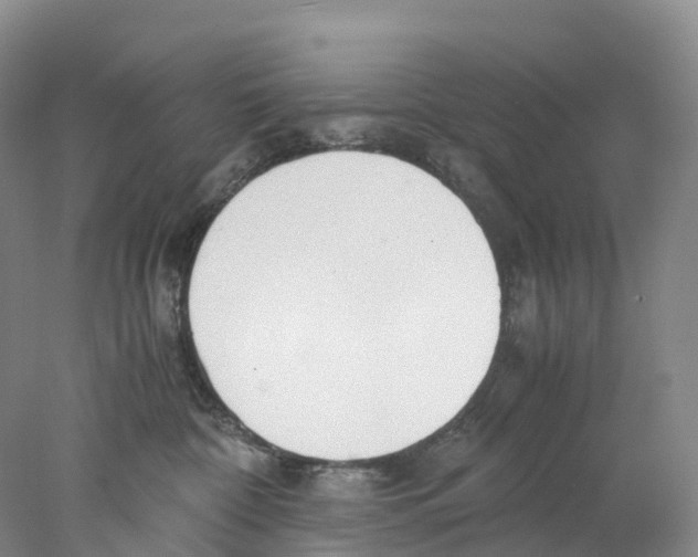 X0000078000332200611251444