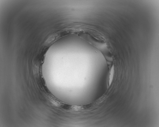 X0000078000333200611251444