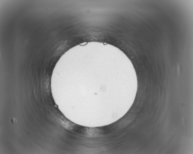 X0000078000336200611251444