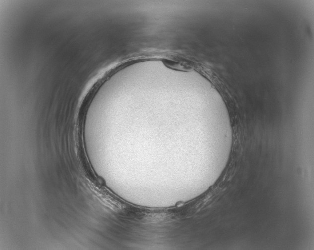 X0000078000342200611251443