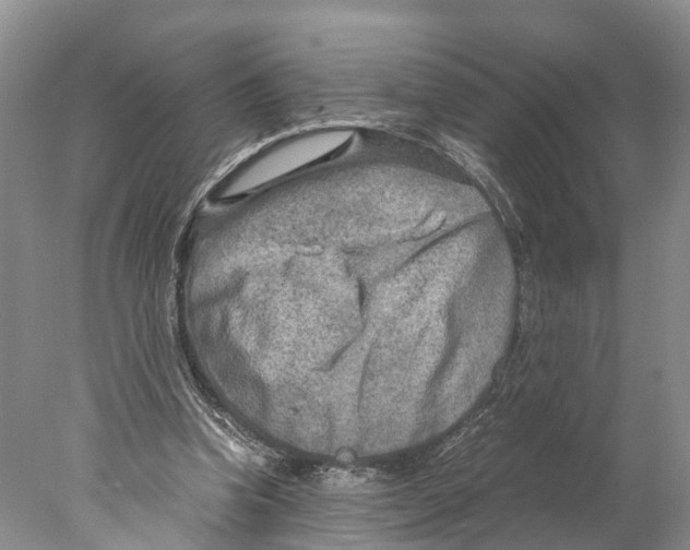 X0000078000346200611251443