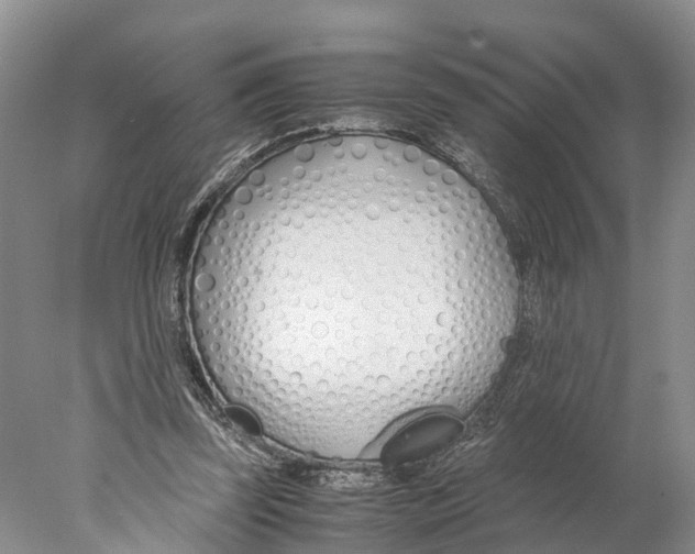 X0000078000347200611251443