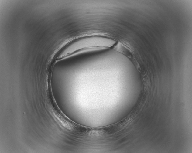 X0000078000350200611251443