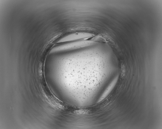 X0000078000356200611251443