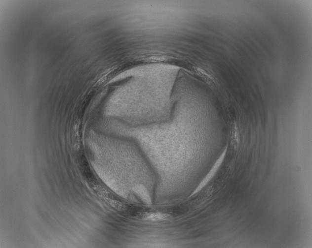 X0000078000360200611251443