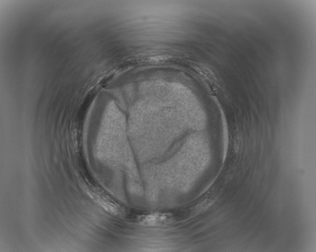 X0000078000366200611251443