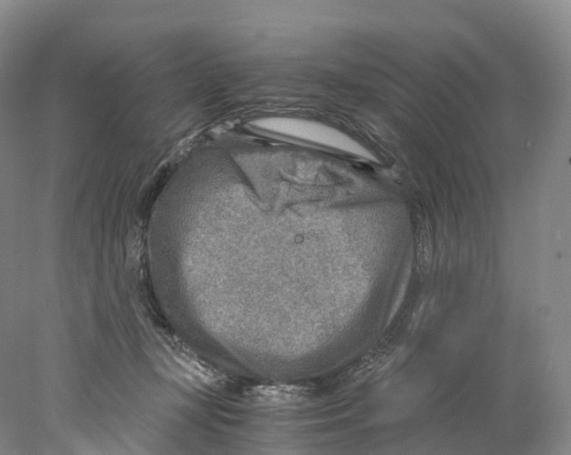 X0000078000367200611251443